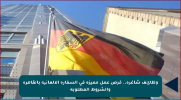 وظائف شاغرة.. فرص عمل مميزة في السفارة الألمانية بالقاهرة والشروط المطلوبة